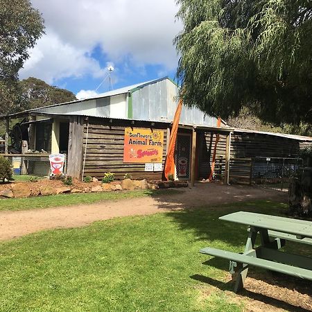 Sunflowers Animal Farm & Farmstay Margaret River Εξωτερικό φωτογραφία