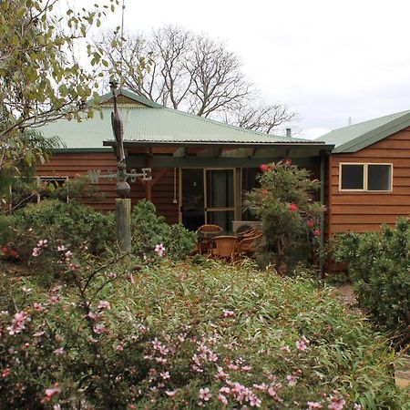 Sunflowers Animal Farm & Farmstay Margaret River Εξωτερικό φωτογραφία