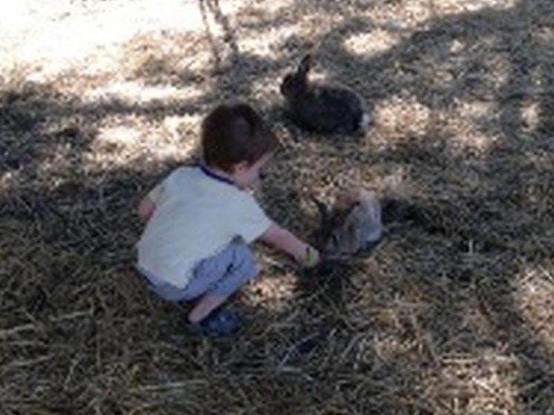 Sunflowers Animal Farm & Farmstay Margaret River Εξωτερικό φωτογραφία
