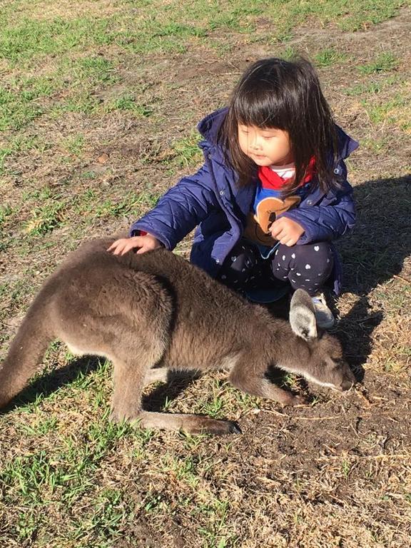 Sunflowers Animal Farm & Farmstay Margaret River Εξωτερικό φωτογραφία