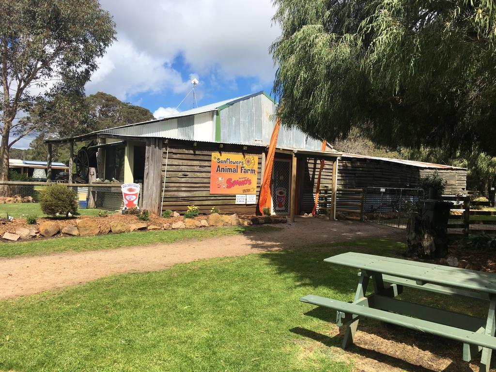 Sunflowers Animal Farm & Farmstay Margaret River Εξωτερικό φωτογραφία