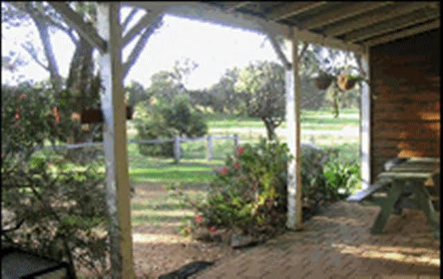 Sunflowers Animal Farm & Farmstay Margaret River Εξωτερικό φωτογραφία