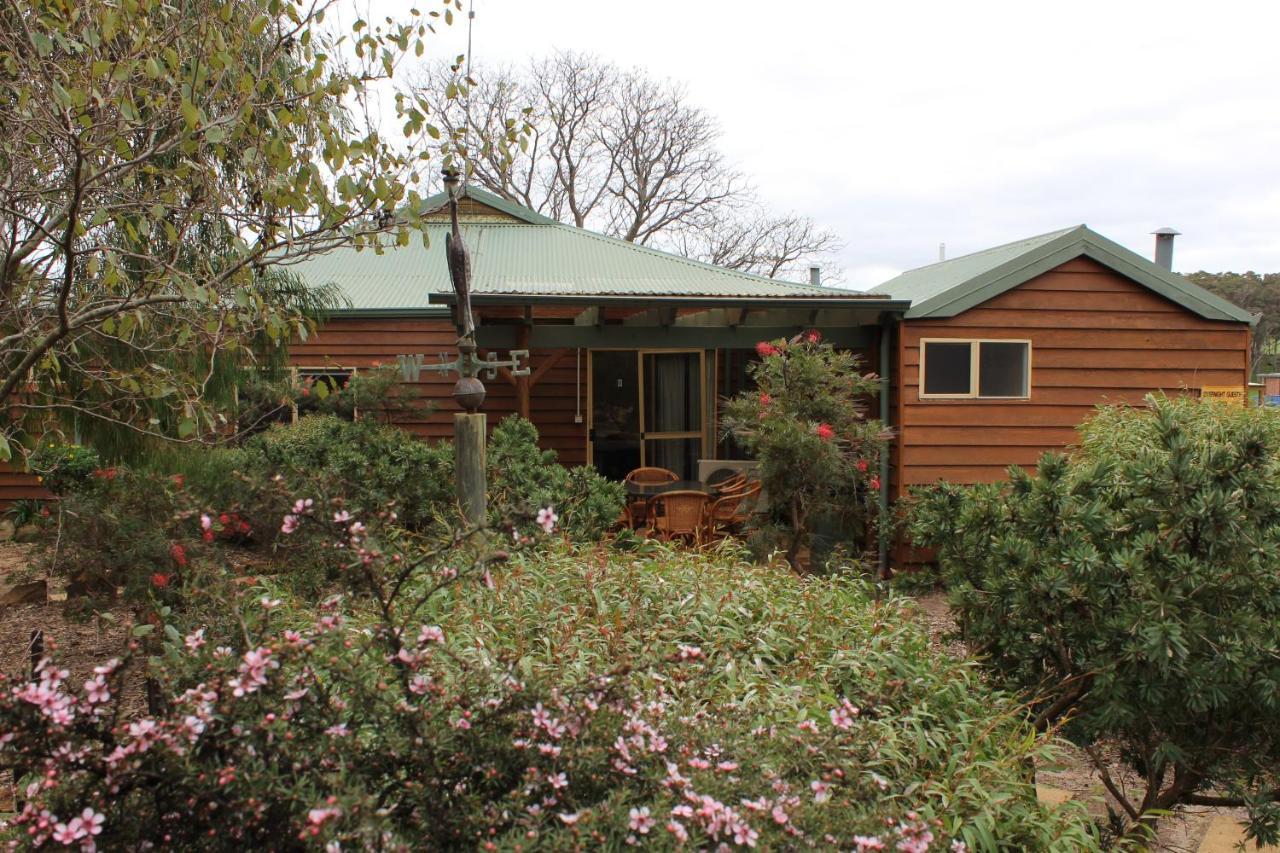 Sunflowers Animal Farm & Farmstay Margaret River Εξωτερικό φωτογραφία